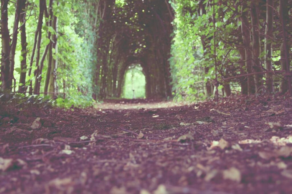 Est placeat saepe quia