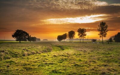 Provident id consequatur inventore corrupti qui